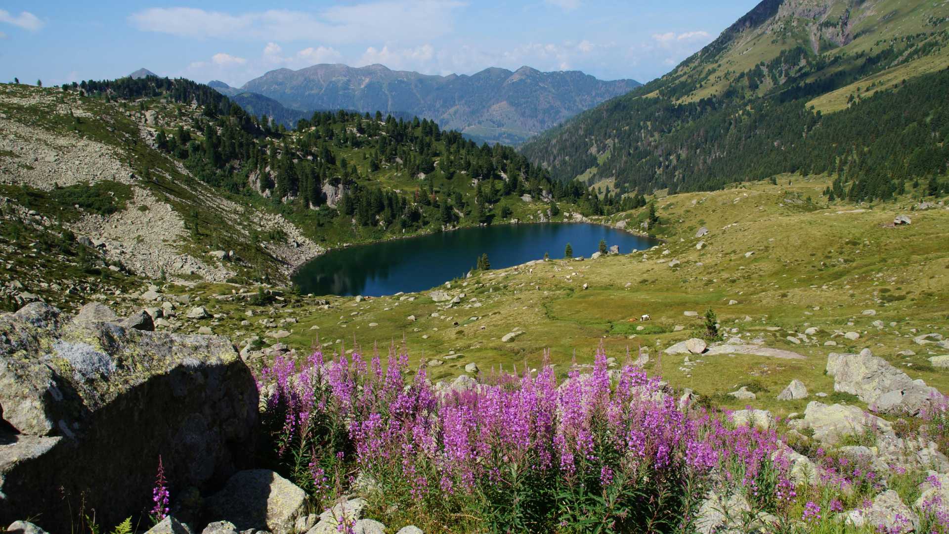 Lago di Carpinone: escursione perfetta da Campitello Matese tra boschi e altopiani d’acqua