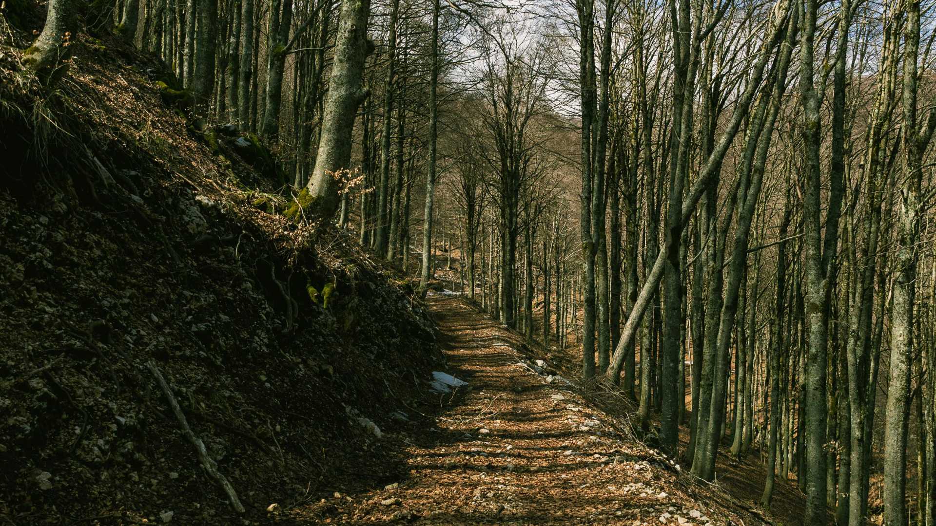 Cosa fare a Campitello Matese in un giorno se ami camminare