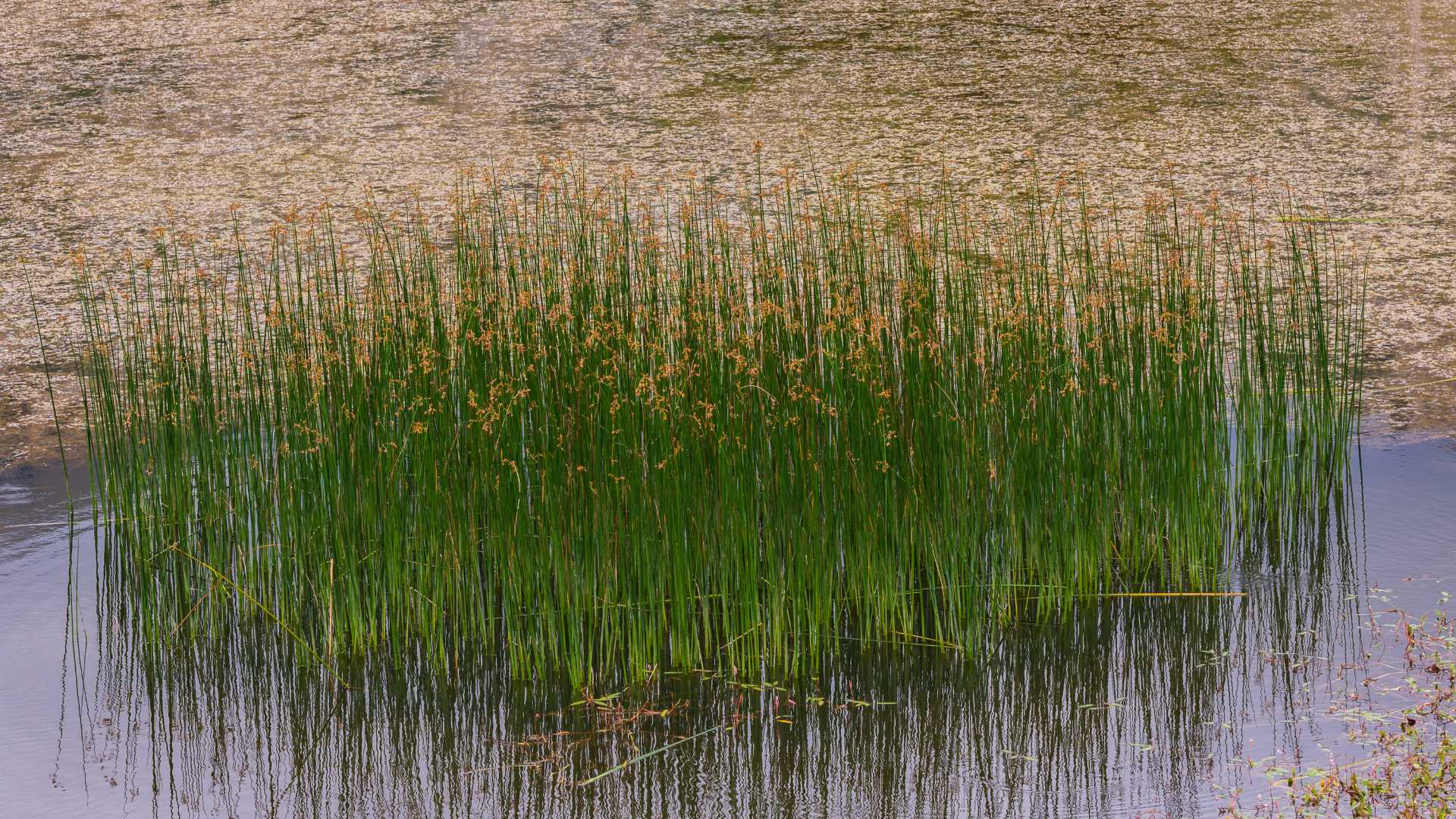 Lago del Matese in autunno: colori, passeggiate e atmosfera