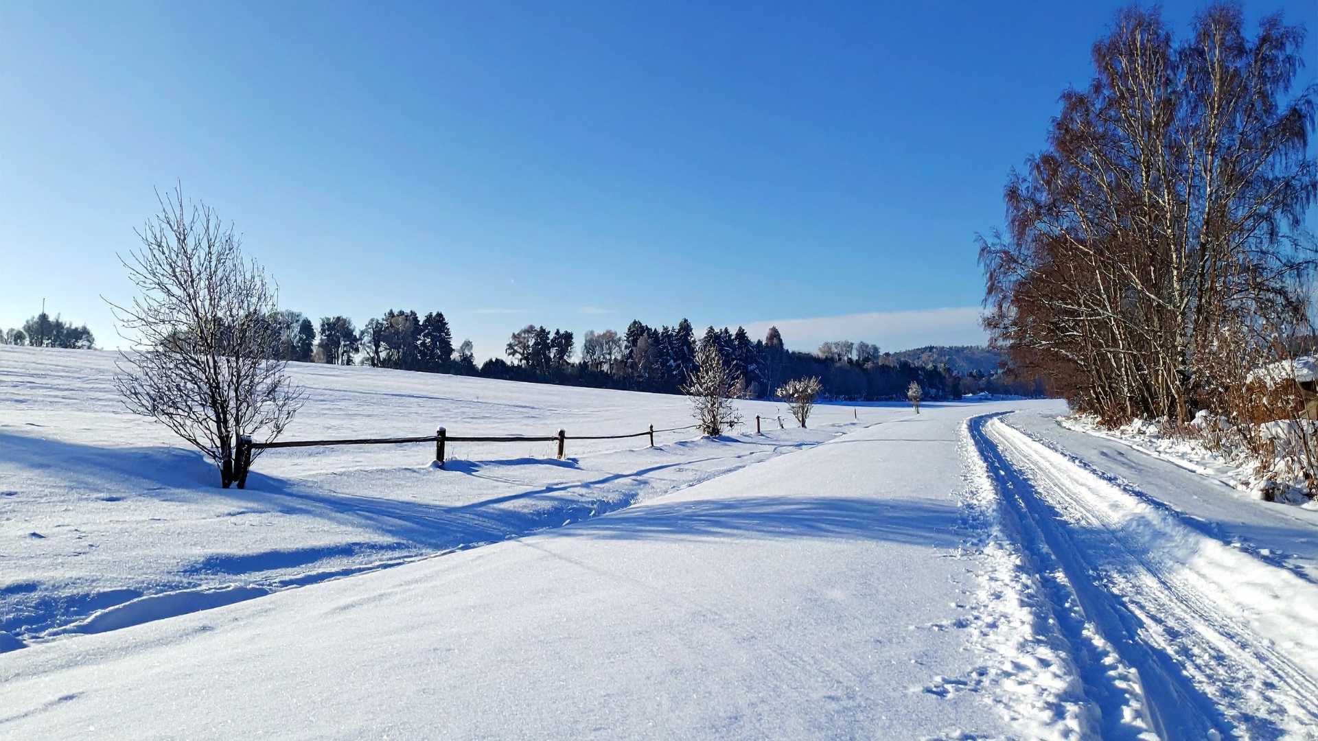 Snowpark di Campitello Matese: cosa aspettarsi con bambini e ragazzi