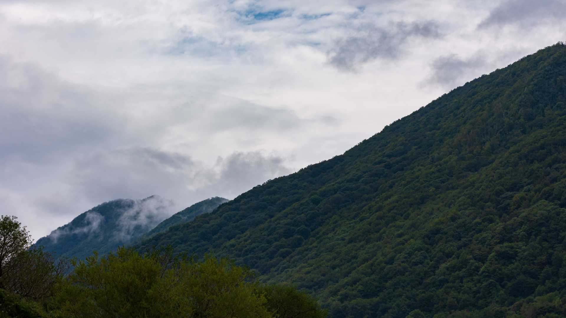 Weekend attivo a Campitello Matese: trekking, bici e natura in 48 ore