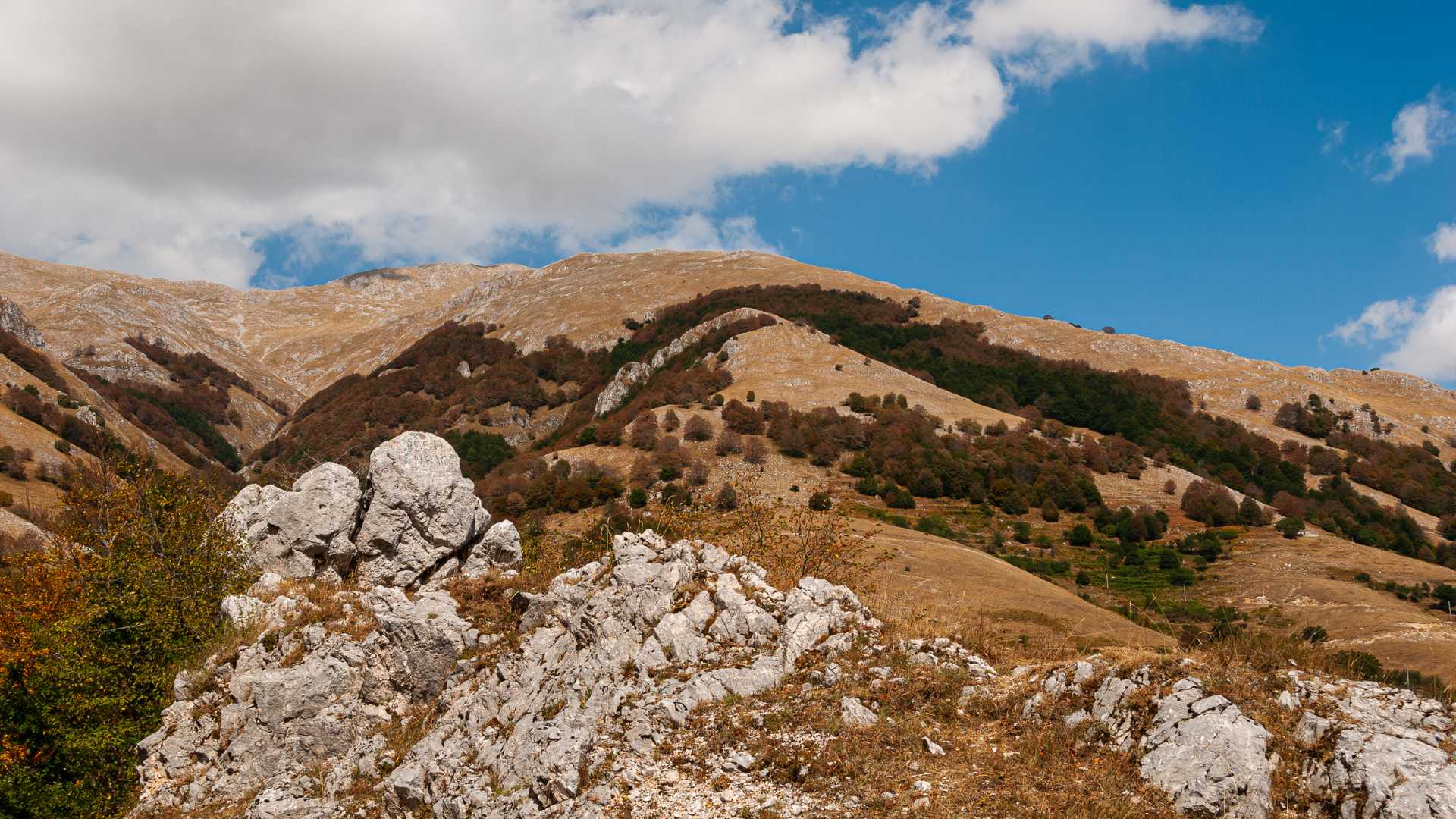 Campitello Matese in estate: i posti migliori per camminare senza fare percorsi lunghi