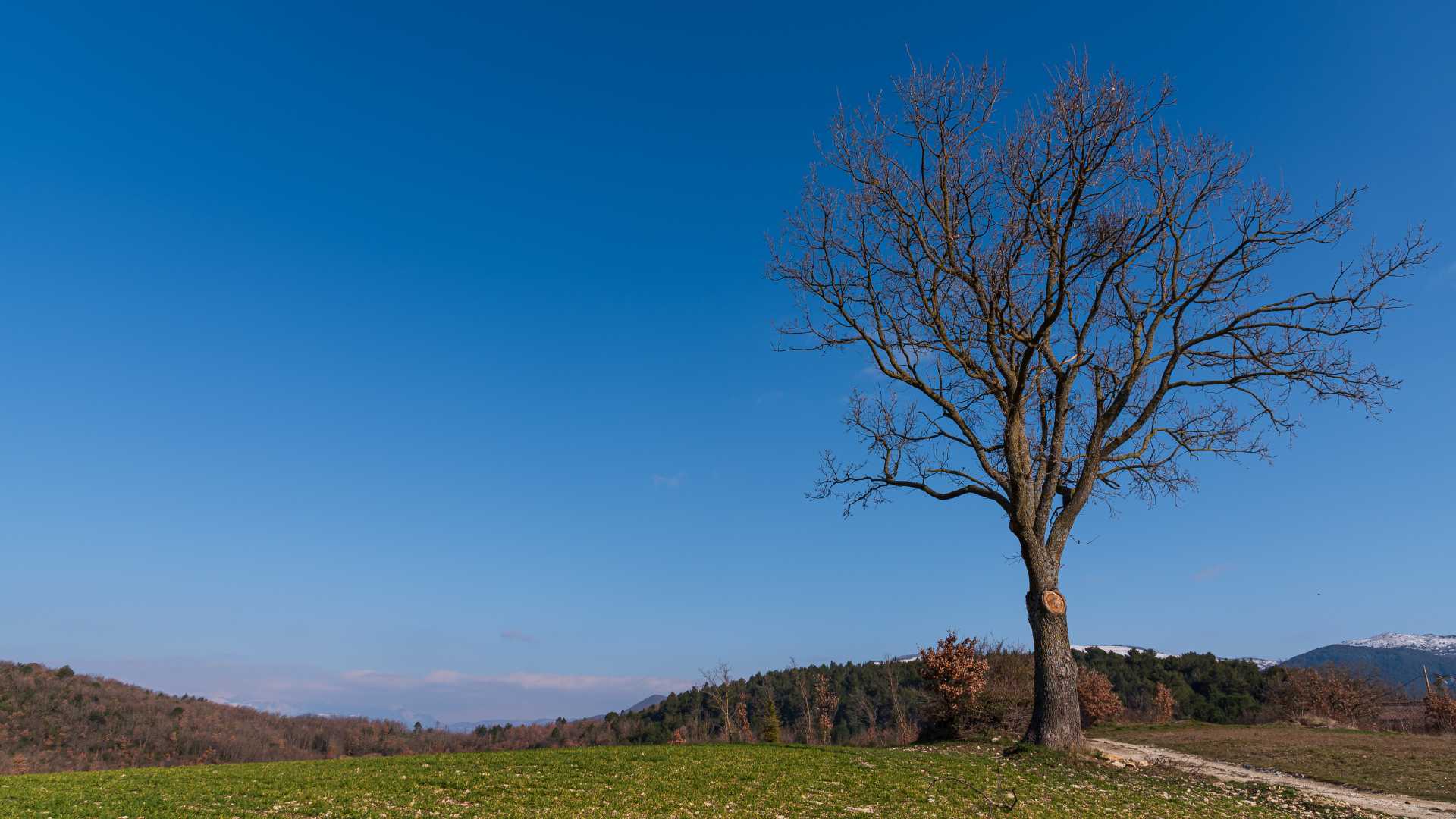 Le cose da fare a Campitello Matese per un primo viaggio nel Matese