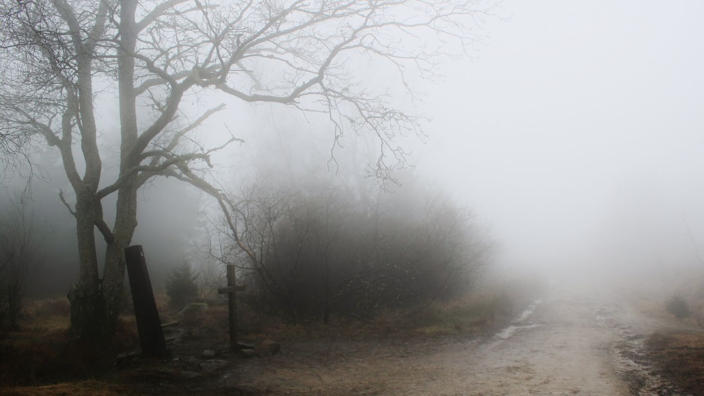 Campitello Matese con la nebbia: come cambiare programma